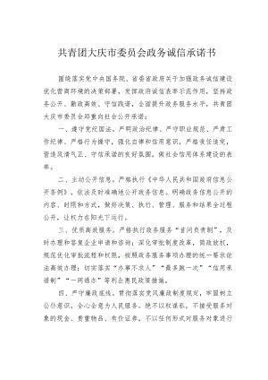 共青团大庆市委员会政务诚信承诺书.docx