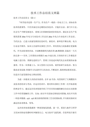 技术工作总结范文两篇.docx