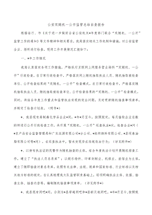 公安双随机一公开监管总结自查报告.docx