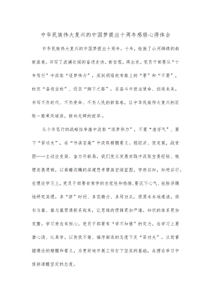 中华民族伟大复兴的中国梦提出十周年感悟心得体会.docx