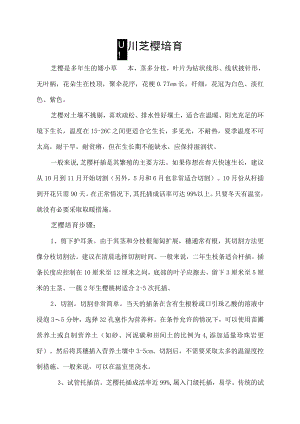 四川芝樱培育.docx