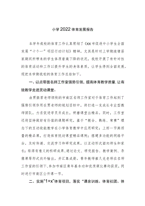 小学2022体育发展报告.docx