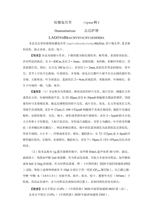 短穗兔耳草药材质量标准.docx