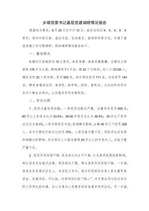 乡镇党委书记基层党建调研情况报告.docx