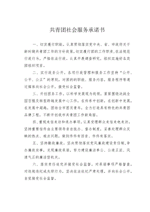 共青团社会服务承诺书.docx