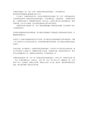 市城管局到派驻“第一书记”村和“加强农村基层党组织建设”工作队调研走访.docx