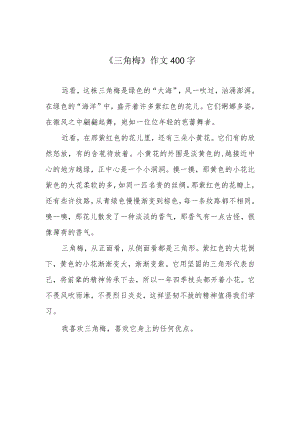《三角梅》作文400字.docx