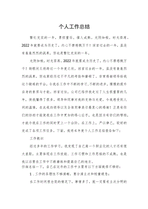 个人工作总结.docx