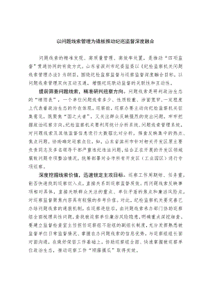 【业务研讨】以问题线索管理为撬板推动纪巡监督深度融合.docx