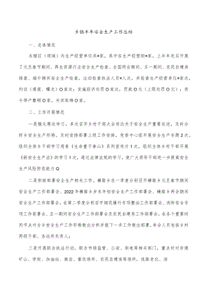 乡镇半年安全生产工作总结.docx