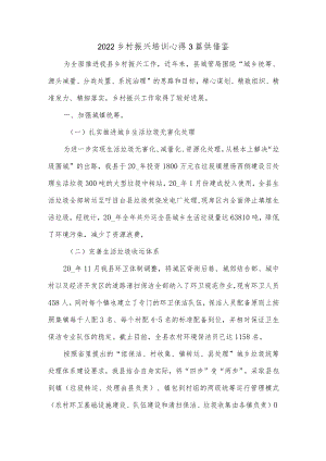 2022乡村振兴培训心得3篇供借鉴.docx