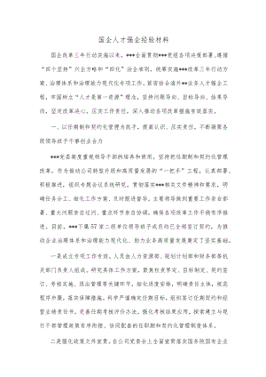 国企人才强企经验材料.docx