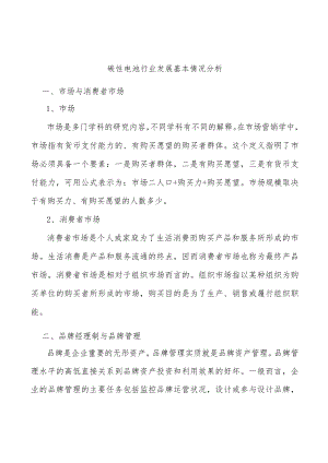 碳性电池行业发展基本情况分析.docx
