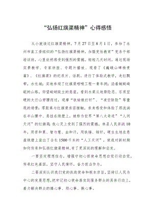 “弘扬红旗渠精神”心得感悟.docx