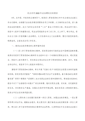 农业农村2022年法治建设总结报告.docx