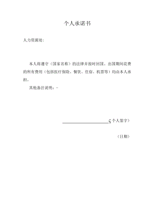 个人承诺书.docx