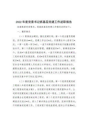 2022年度党委书记抓基层党建工作述职报告.docx