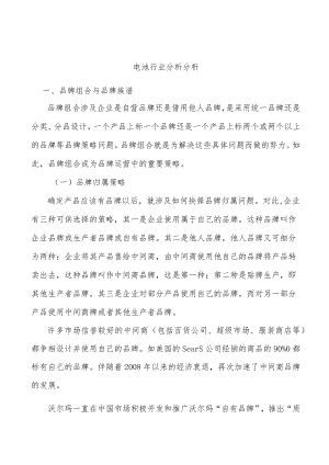 电池行业分析分析.docx