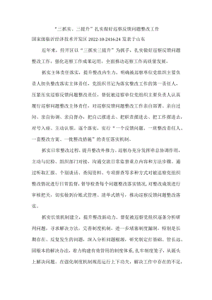 “三抓实、三提升”扎实做好巡察反馈问题整改工作.docx