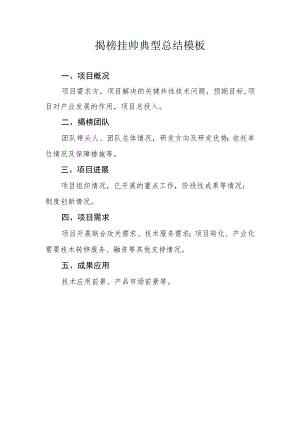 揭榜挂帅典型总结模板.docx