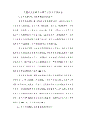 发展壮大村级集体经济经验发言供借鉴.docx