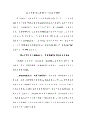 国企党委书记专题研讨会发言材料.docx