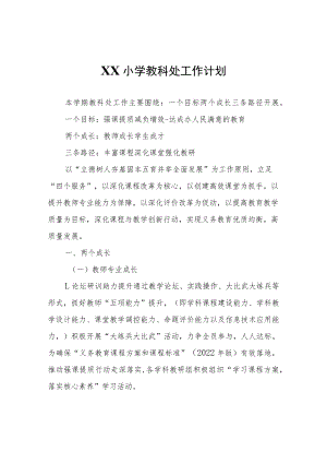 XX小学教科处工作计划.docx