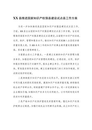 XX县推进国家知识产权强县建设试点县工作方案.docx
