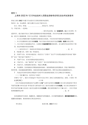 上海市2022年12月专业技术人员职业资格考试考生安全考试承诺书.docx