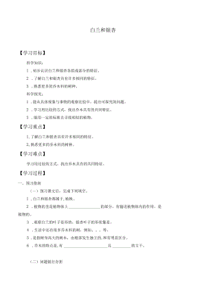 个人学案白兰和银杏.docx