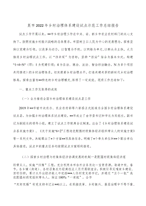 某市2022年乡村治理体系建设试点示范工作总结报告.docx