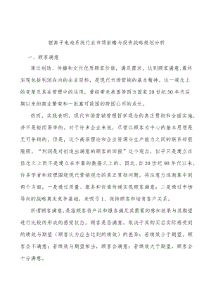锂离子电池系统行业市场前瞻与投资战略规划分析.docx