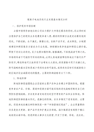 锂离子电池系统行业发展基本情况分析.docx