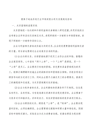 锂离子电池系统行业市场深度分析及发展规划咨询.docx