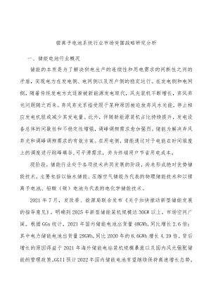 锂离子电池系统行业市场突围战略研究分析.docx