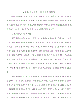镇推进法治建设第一责任人职责述职报告.docx