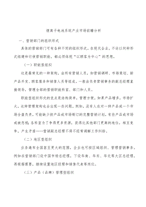 锂离子电池系统产业市场前瞻分析.docx