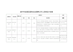 遂宁市安居区国有企业招聘工作人员岗位计划表.docx