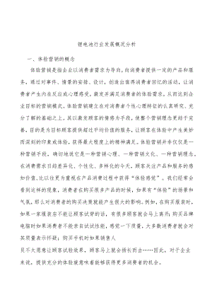 锂电池行业发展概况分析.docx