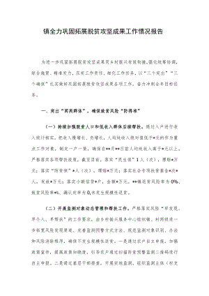 镇全力巩固拓展脱贫攻坚成果工作情况报告.docx