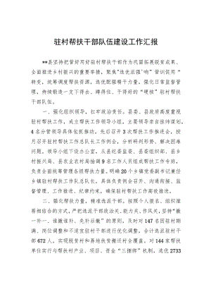 驻村帮扶干部队伍建设工作汇报.docx