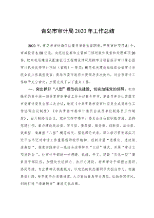 青岛市审计局2020年工作总结.docx