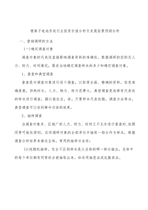 锂离子电池系统行业投资价值分析及发展前景预测分析.docx