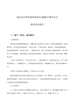 遂昌县自然资源和规划局2020年整体支出绩效评价报告.docx