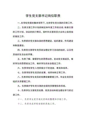学生党支部书记岗位职责.docx