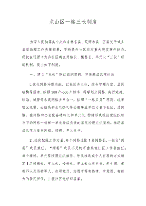 龙山区一格三长制度.docx