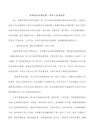 区推进法治建设第一责任人述法报告.docx
