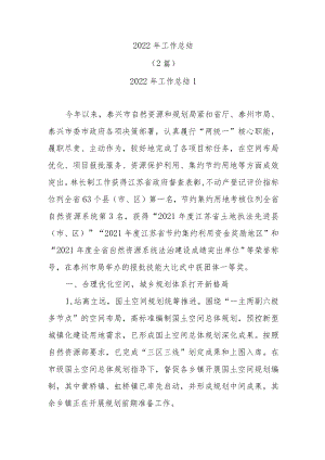 (2篇)2022年工作总结.docx