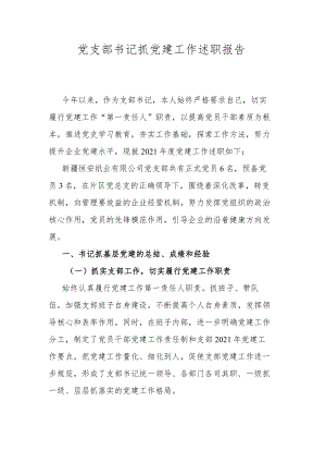 党支部书记抓党建工作述职报告.docx