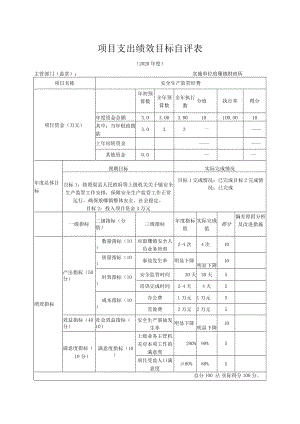 项目支出绩效目标自评表.docx